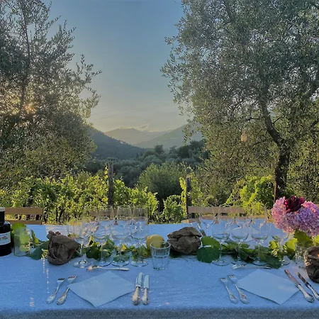 Tenuta di Tramonte Boutique Hotel-2